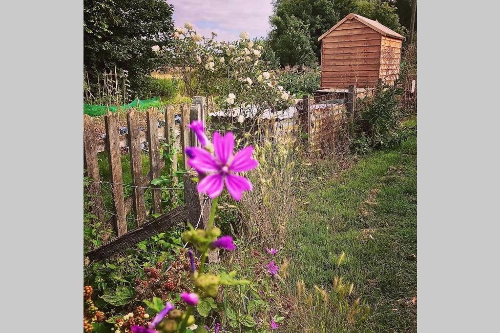 Melford Allotment Shed-Vintage Lodge Suffolk ロング・メルフォード エクステリア 写真